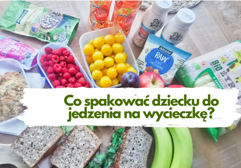 Co do jedzenia na wycieczkę dla dziecka - łatwe i zdrowe pomysły